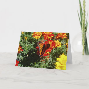 Tarjeta "Fluttering"