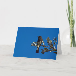 Tarjeta Fly Catcher Perchado