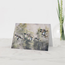 Tarjeta Flying Mallards