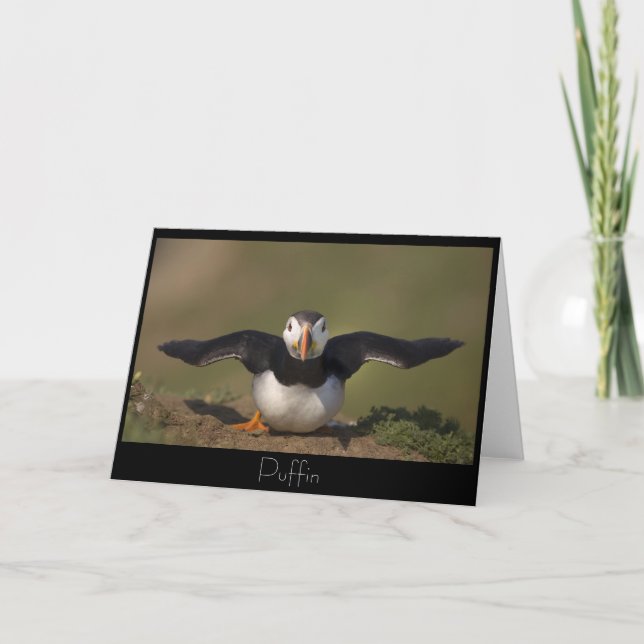 Tarjeta Flying Puffin (Anverso)