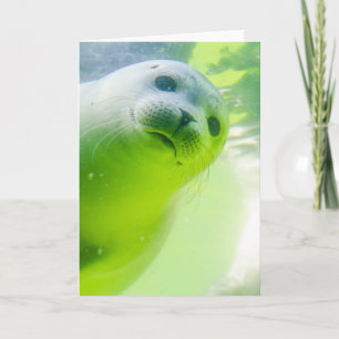 Tarjeta Foca amistosa y linda bajo el agua