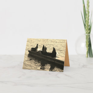 Tarjeta Focas junto al mar