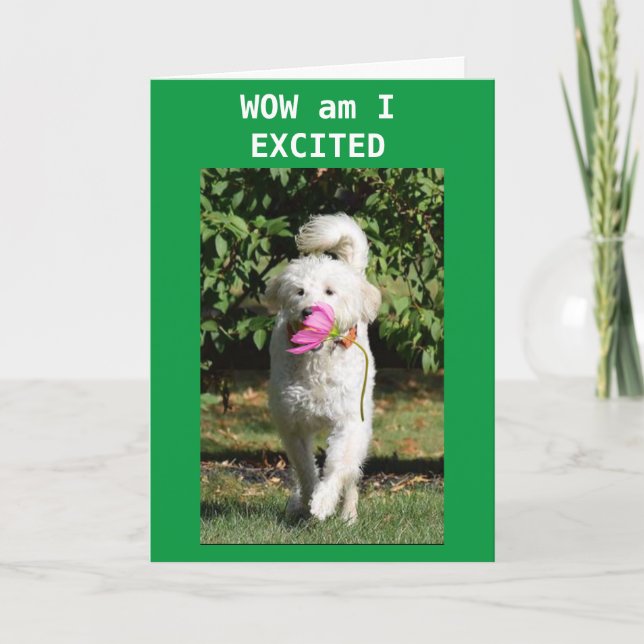 Tarjeta Folded Greeting Card (Anverso)