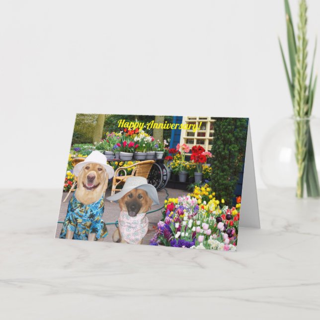 Tarjeta Folded Greeting Card (Anverso)