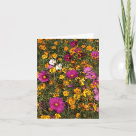 Tarjeta Folded greeting card with photo of flowers