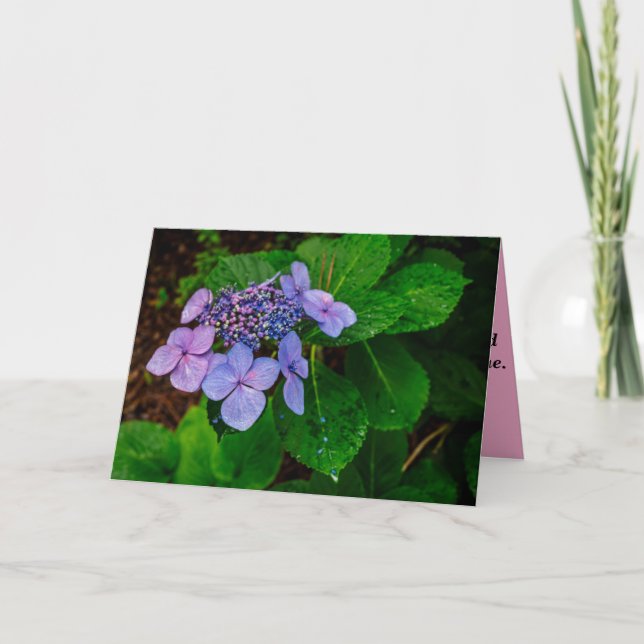 Tarjeta Folded Landscape Sympathy Card (Anverso)