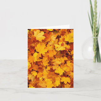 Tarjeta Foliage de otoño