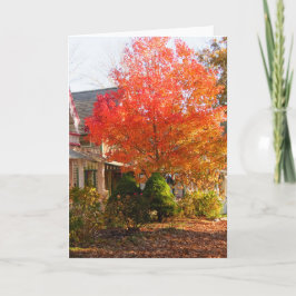 Tarjeta Foliage otoñal en roble azul - Viñero de Martha