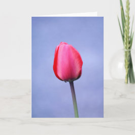 Tarjeta Fondo Blanco Lavanda Tulipán Rosa Elegante