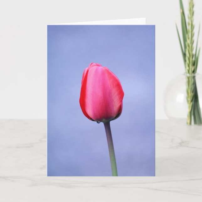 Tarjeta Fondo Blanco Lavanda Tulipán Rosa Elegante (Anverso)