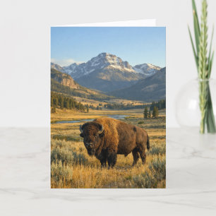 Tarjeta Fondo de Bisonte Americano de paisaje montañoso