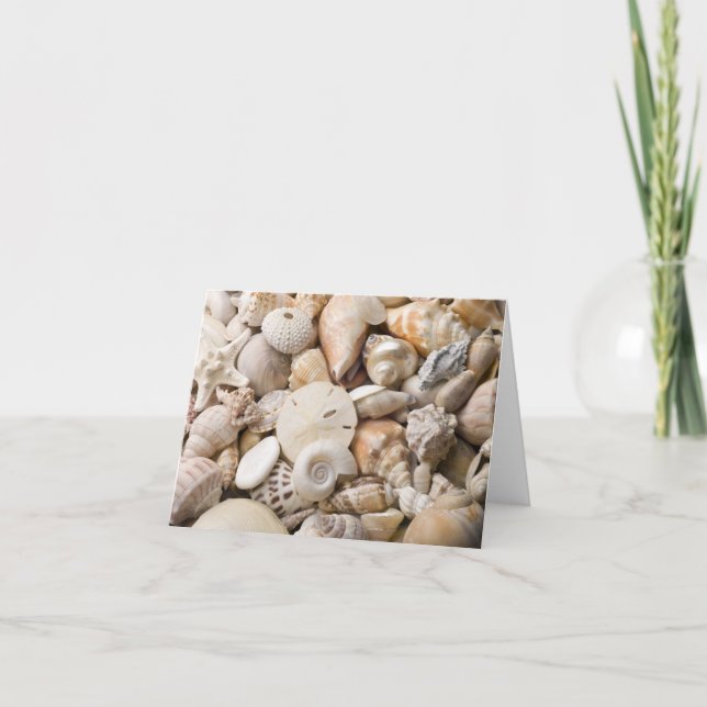 Tarjeta Fondo de la cubierta del mar de Florida - Personal (Anverso)