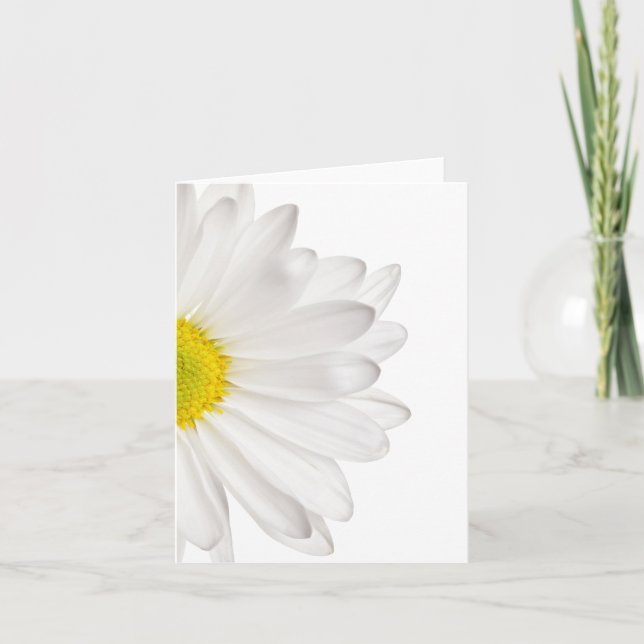 Tarjeta Fondo de la flor de margarita blanca Daisies perso (Anverso)
