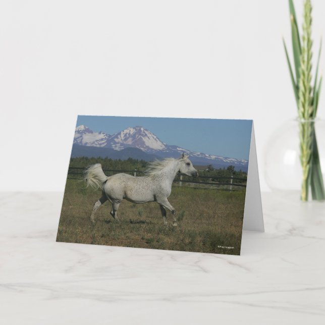 Tarjeta Fondo de las montañas árabes gris de Bob Langrish (Anverso)