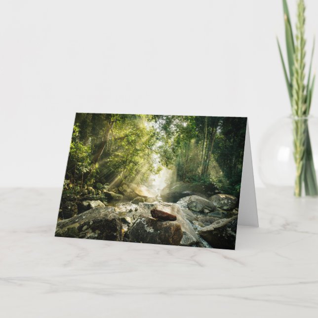 Tarjeta Forests | Tropical Jungle Forest (Anverso)