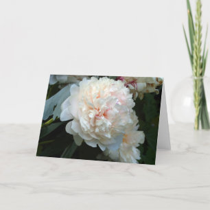 Tarjeta Forever Peony Card