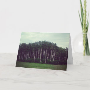 Tarjeta "Forever Wild"