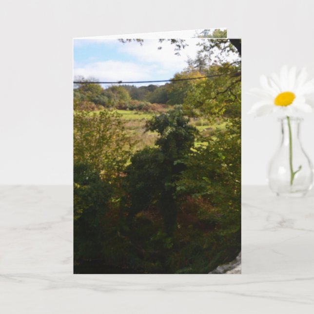 Tarjeta forma natural de imitar animales (Planta pequeña)