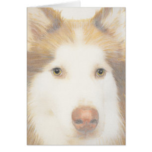 Tarjeta fornida del Malamute, perro de trineo