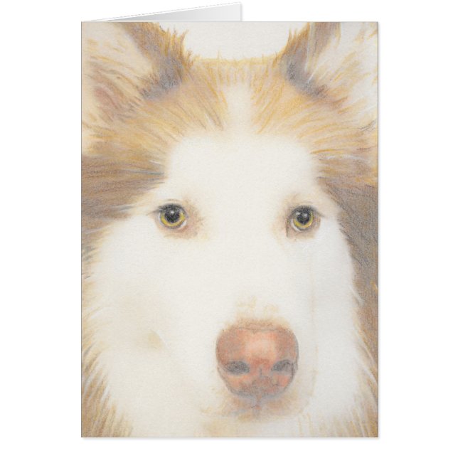 Tarjeta fornida del Malamute, perro de trineo (Frente)