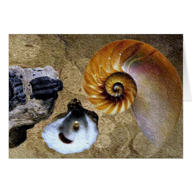 Tarjeta fósil (Anverso (Horizontal))