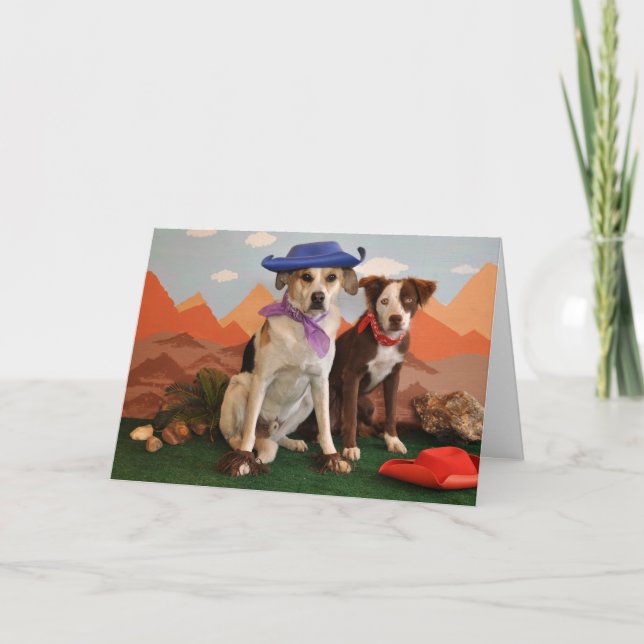 Tarjeta Foto, 2 perros occidentales (Anverso)