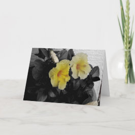 Tarjeta Foto amarilla de Hibiscus "Feliz cumpleaños". Salu