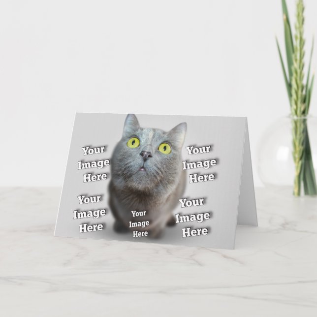 Tarjeta Foto asombrosa de ave de gato canino (Anverso)