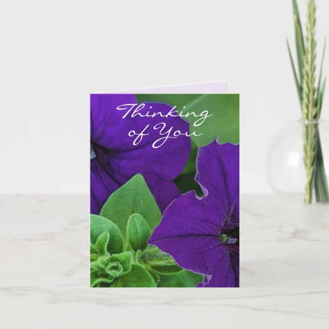 Tarjeta Foto bíblica de una flor morada versus el pensamie (Anverso)