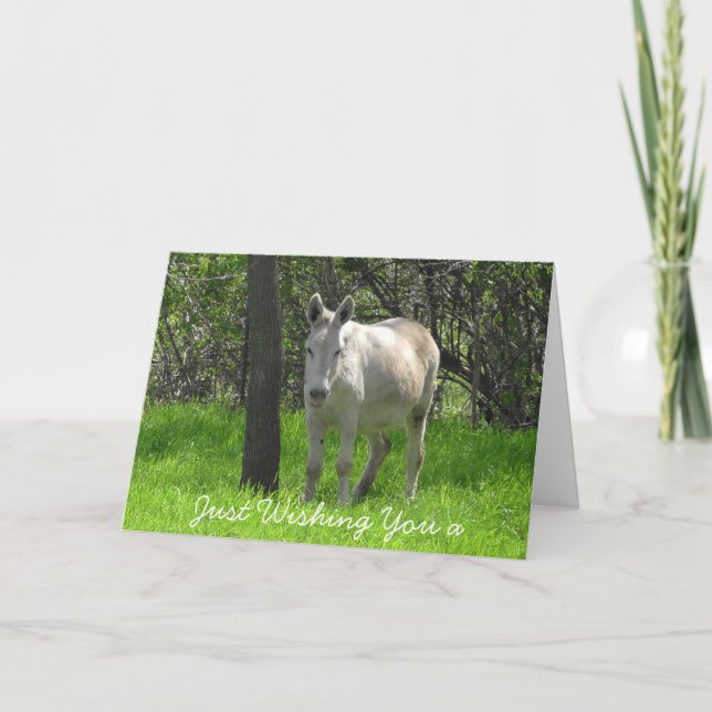 Tarjeta Foto blanca del burro del feliz cumpleaños (Anverso)
