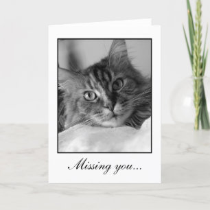 Tarjeta Foto blanco y negro dulce del gato de tabby