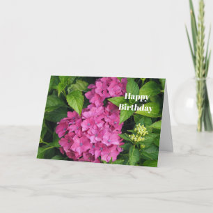Tarjeta Foto cumpleaños de las flores de hidrangea rosada