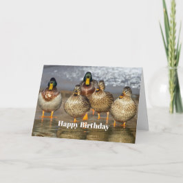 Tarjeta Foto cumpleaños de Wildlife Mallard Ducks