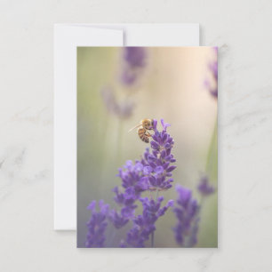 Tarjeta Foto de abeja melífera en flor de lavanda