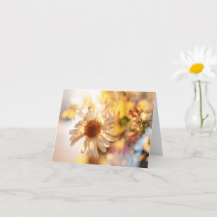 Tarjeta Foto de arte fino de margarita soñadora