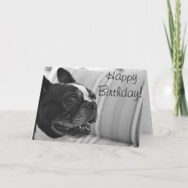 Tarjeta Foto de Boston Terrier