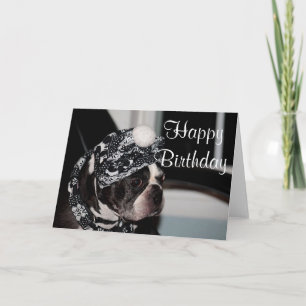 Tarjeta Foto de Boston Terrier