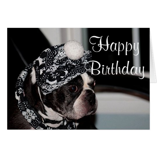 Tarjeta Foto de Boston Terrier