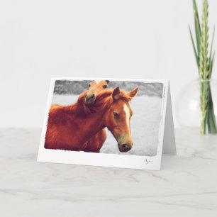 Tarjeta Foto de caballos