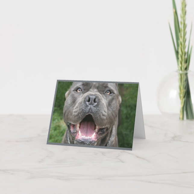 Tarjeta Foto de Cane Corso Card (Anverso)