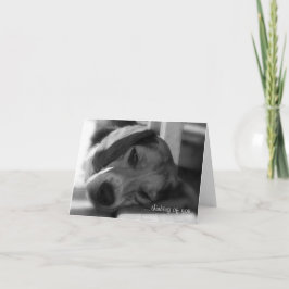 Tarjeta Foto de cierre de Beagle Dog Snoopy