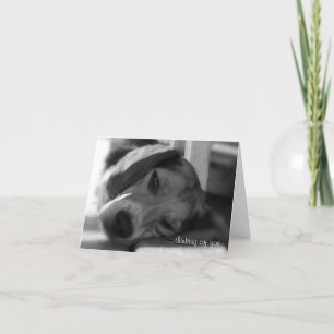 Tarjeta Foto de cierre de Beagle Dog Snoopy