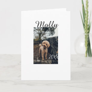 Tarjeta Foto de cumpleaños de perro gato animal moderno añ