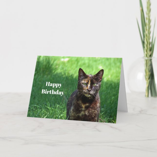 Tarjeta Foto de Cute Brown Tortoiseshell Cat Cumpleaños (Anverso)