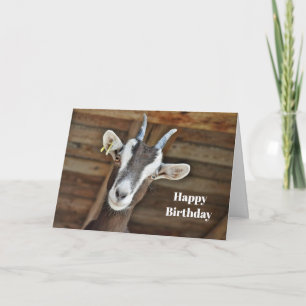 Tarjeta Foto de Cute Brown y White Goat Cumpleaños
