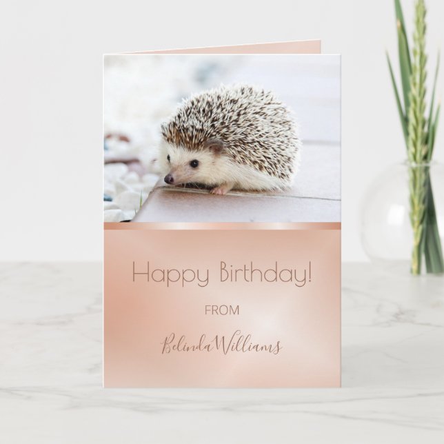Tarjeta Foto de Cute Hedgehog | Rosa Texto de cumpleaños d (Anverso)