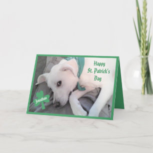 Tarjeta Foto de Cute Lazy Dog Funny del Día de San Patrici