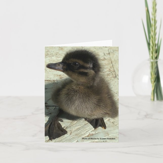 Tarjeta Foto de duckling (Anverso)