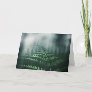 Tarjeta Foto de Fern Nature