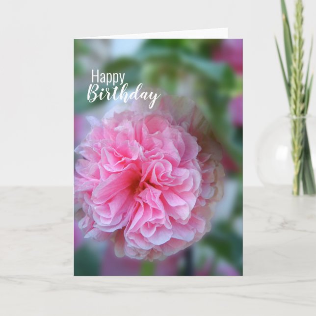 Tarjeta Foto de Flor de Malva Real para Feliz Cumpleaños (Anverso)